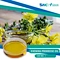 Evening Primrose Oil is a versatile supplement that can help promote various aspects of health, including menstrual and menopausal symptoms, skin health, nerve function, joint health, heart health, and eye health.